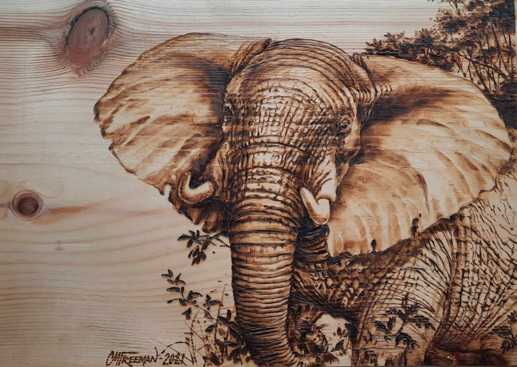 Pyrography Art