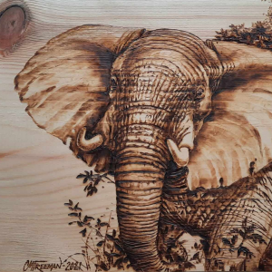 Pyrography Art