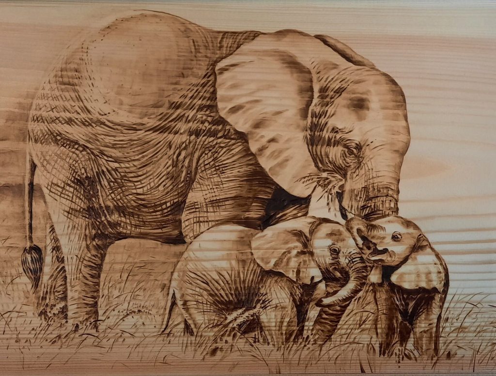 Pyrography Art