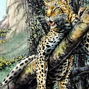 Leopard in Bvumba